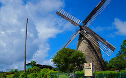 Morgan Lewis Sugar Mill Barbados